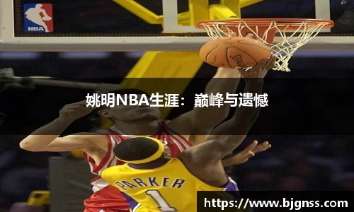 姚明NBA生涯：巅峰与遗憾
